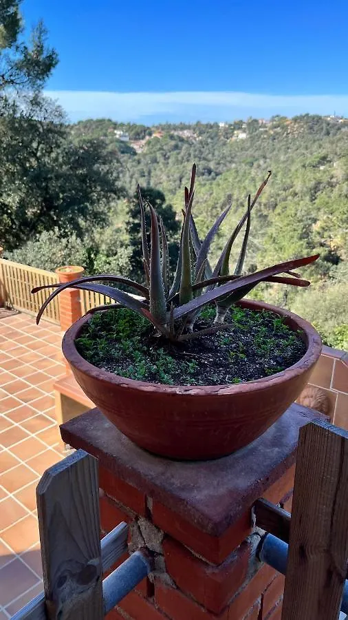 Guest house Villa Paradise Lloret Lloret de Mar