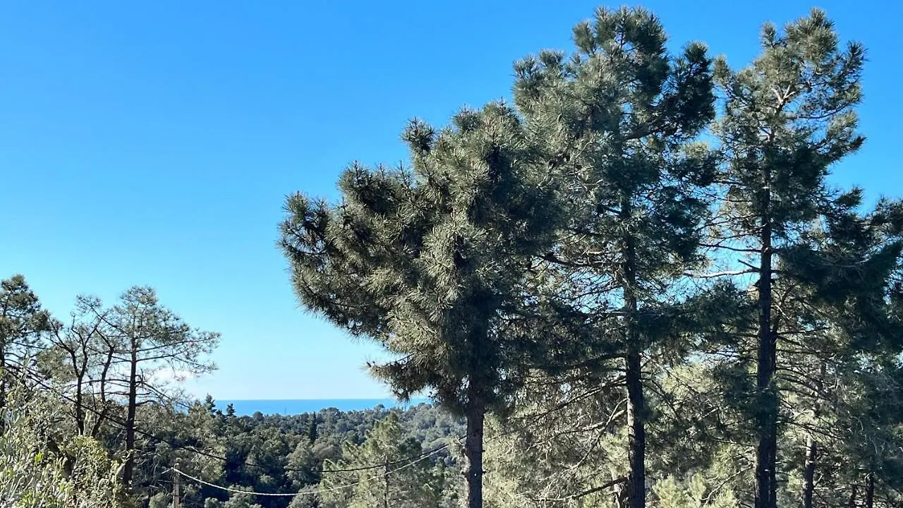 Villa Paradise Lloret Lloret de Mar